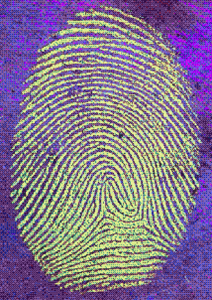 Custom Software Development